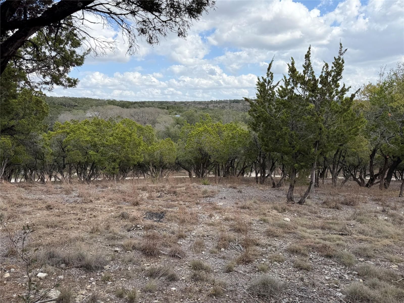 TBD Rancho Grande DR - Photo 1