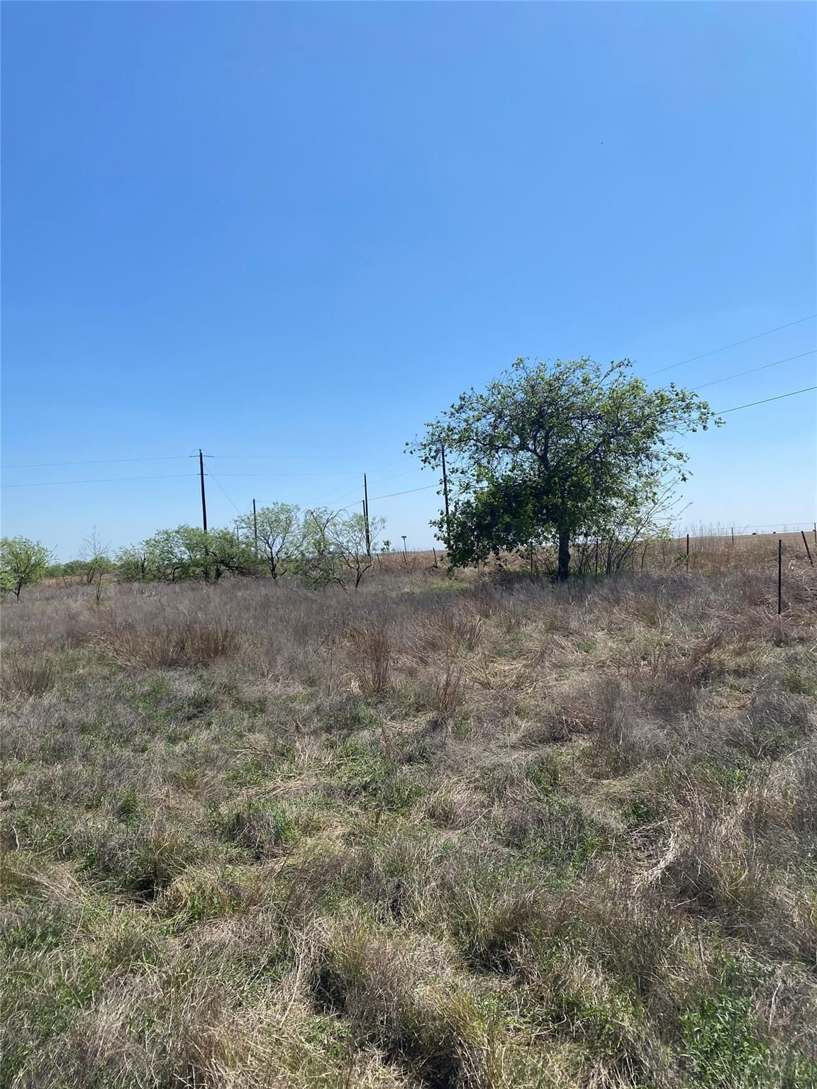 1536 County Road 3545 RD - Photo 1