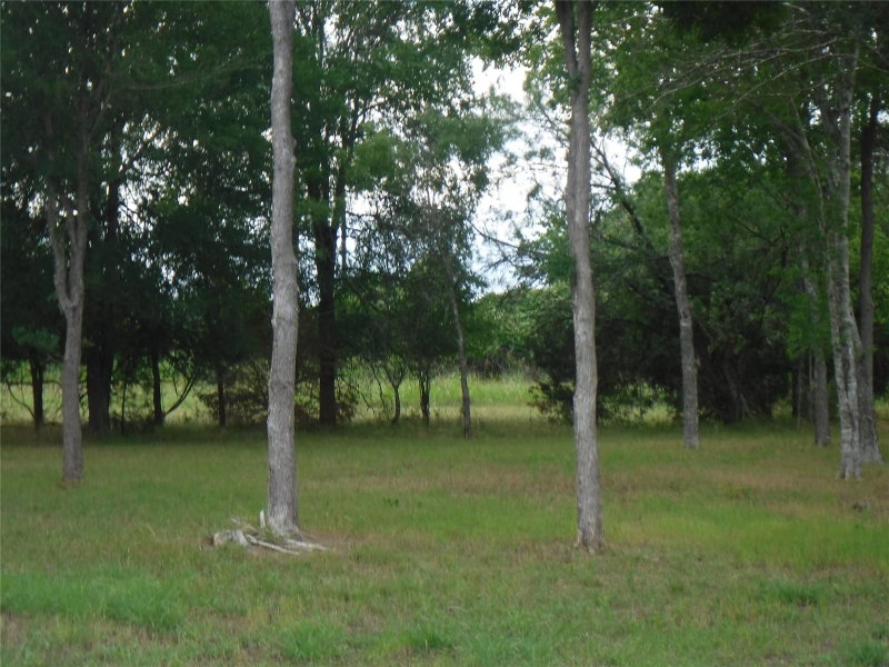 Property photo 26
