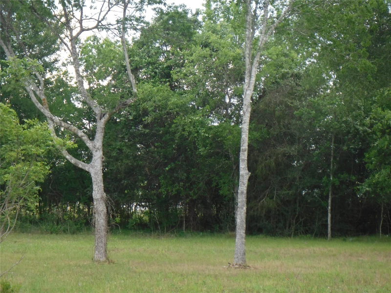 Property photo 27