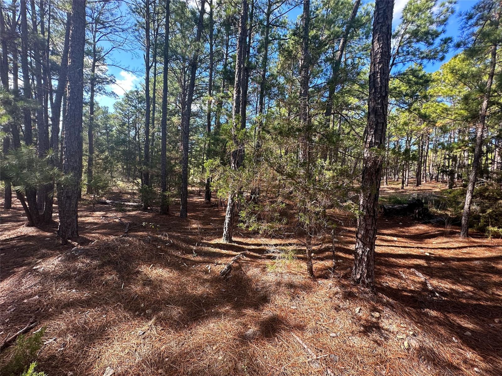 Lot 11 Hickory Ridge DR - Photo 1