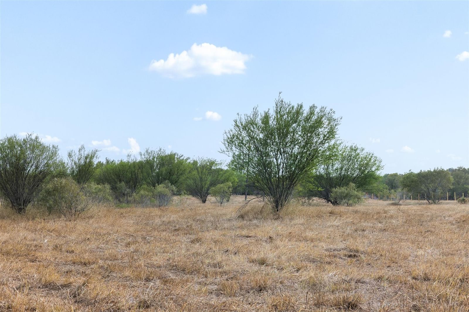 Tract 2 FM 713 - Photo 1