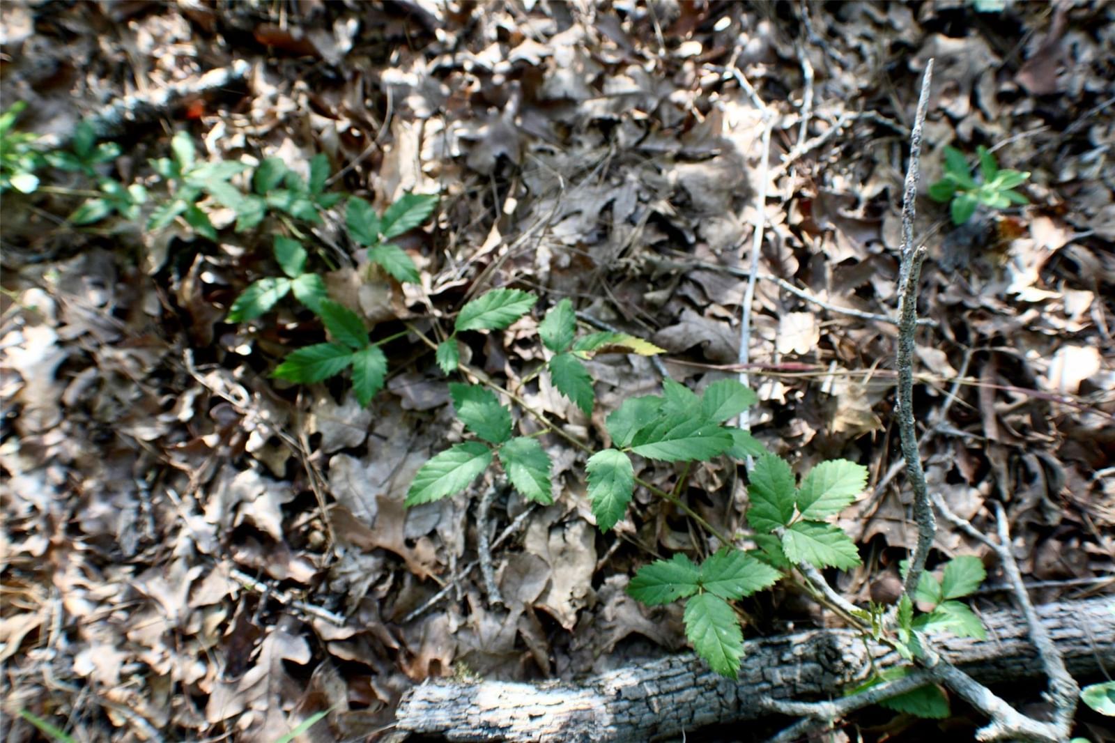 Photo 22