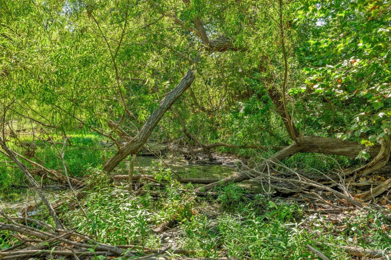 Property photo 23