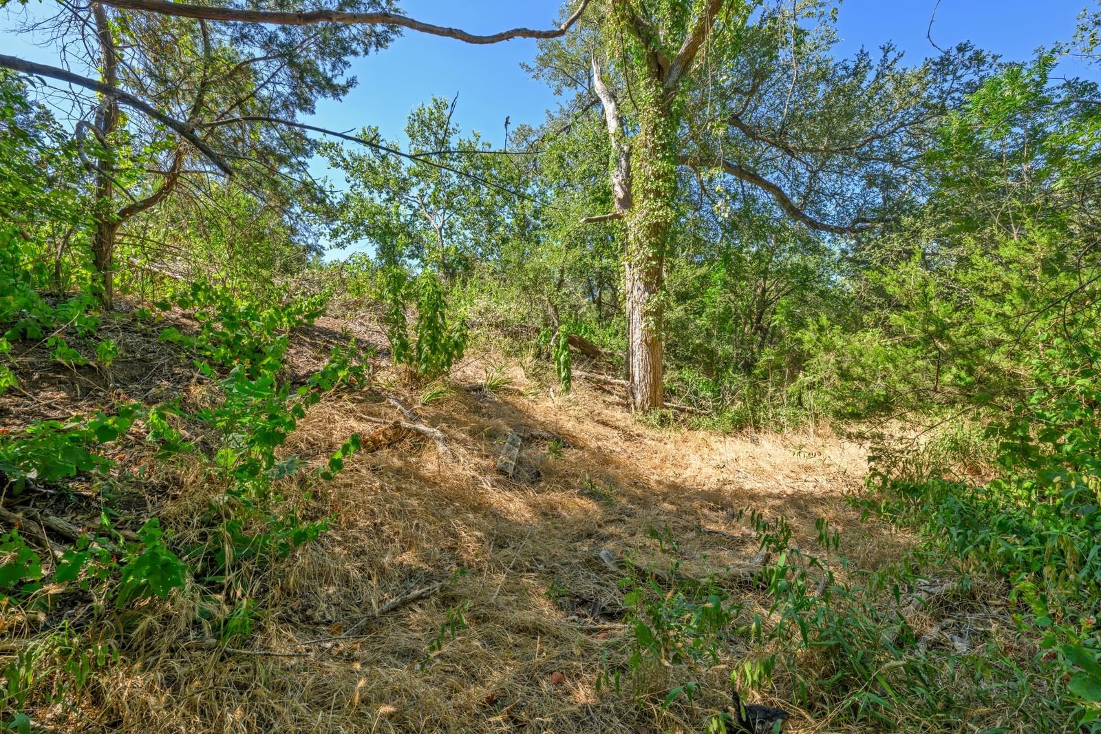 Photo 26