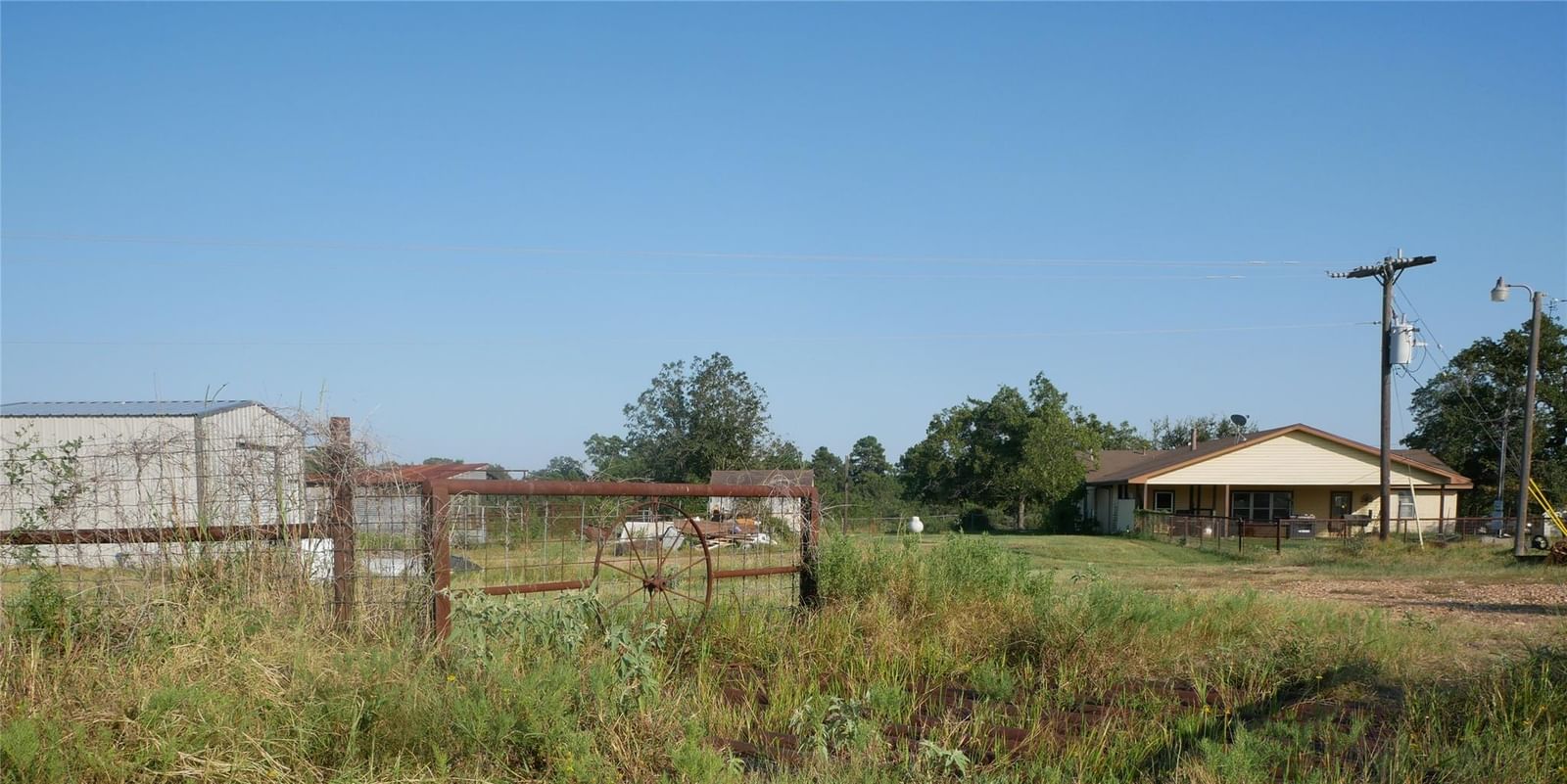 Photo 11