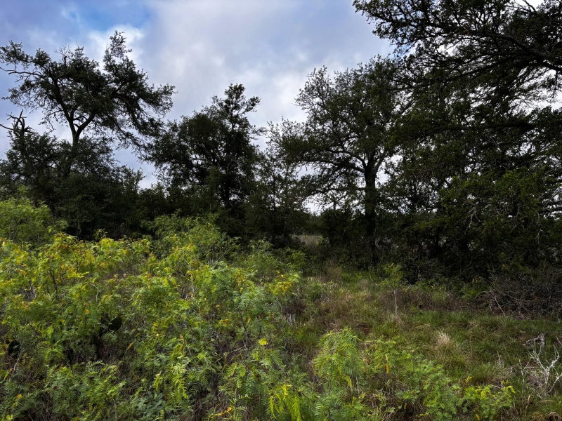 Property photo 27