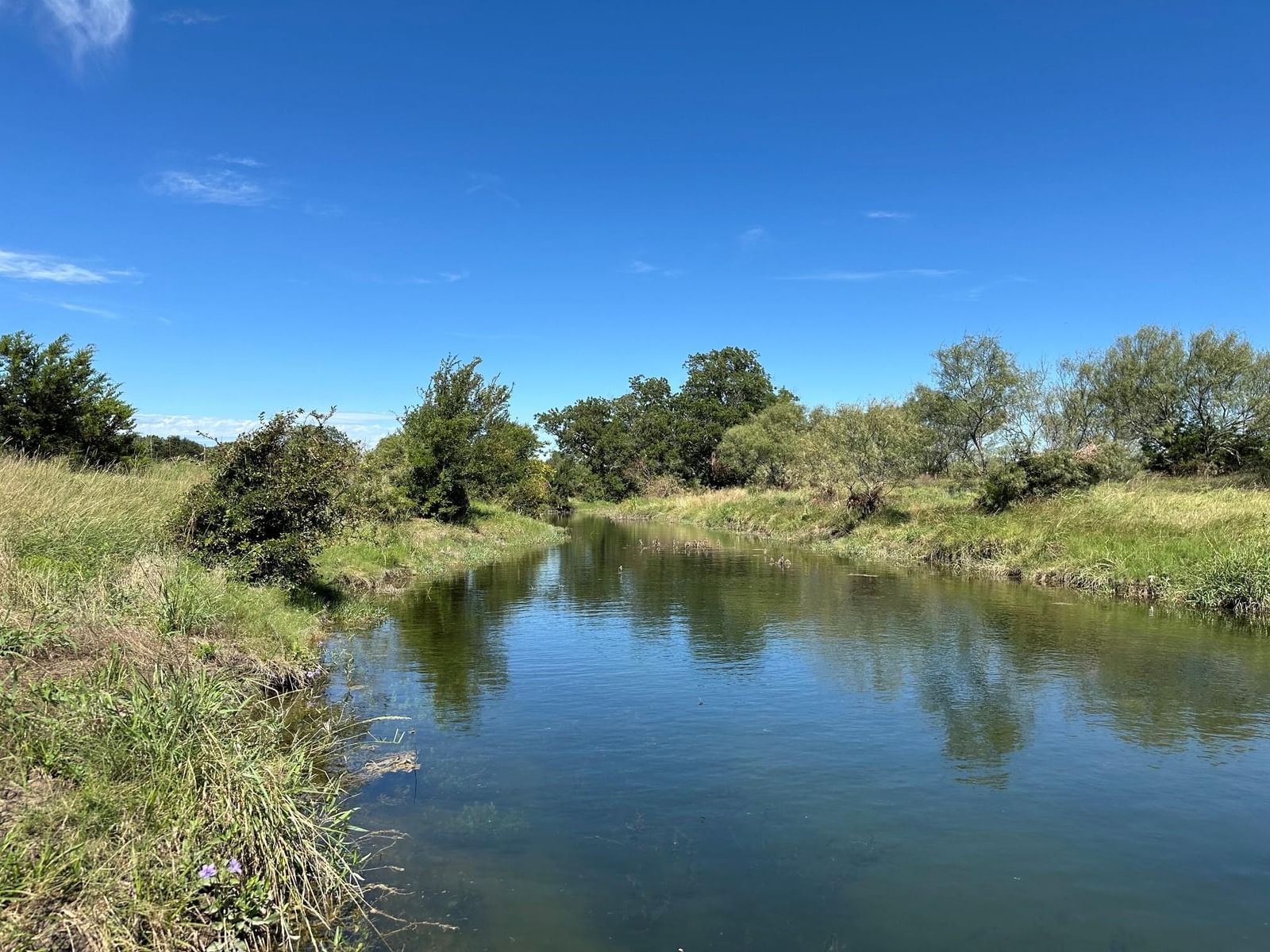 23 acres County Road 330 - Photo 1
