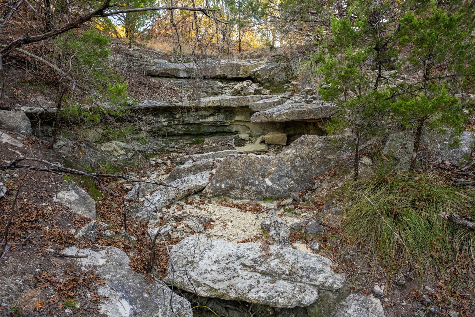Photo 38