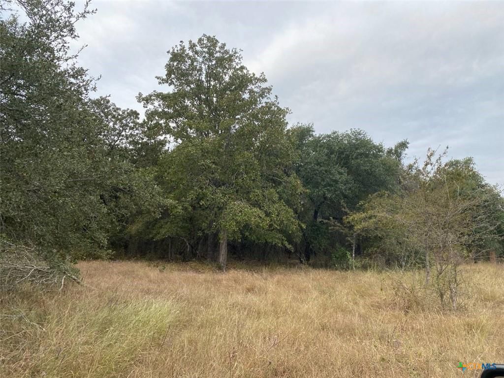 TBD County Road 405 - Photo 1