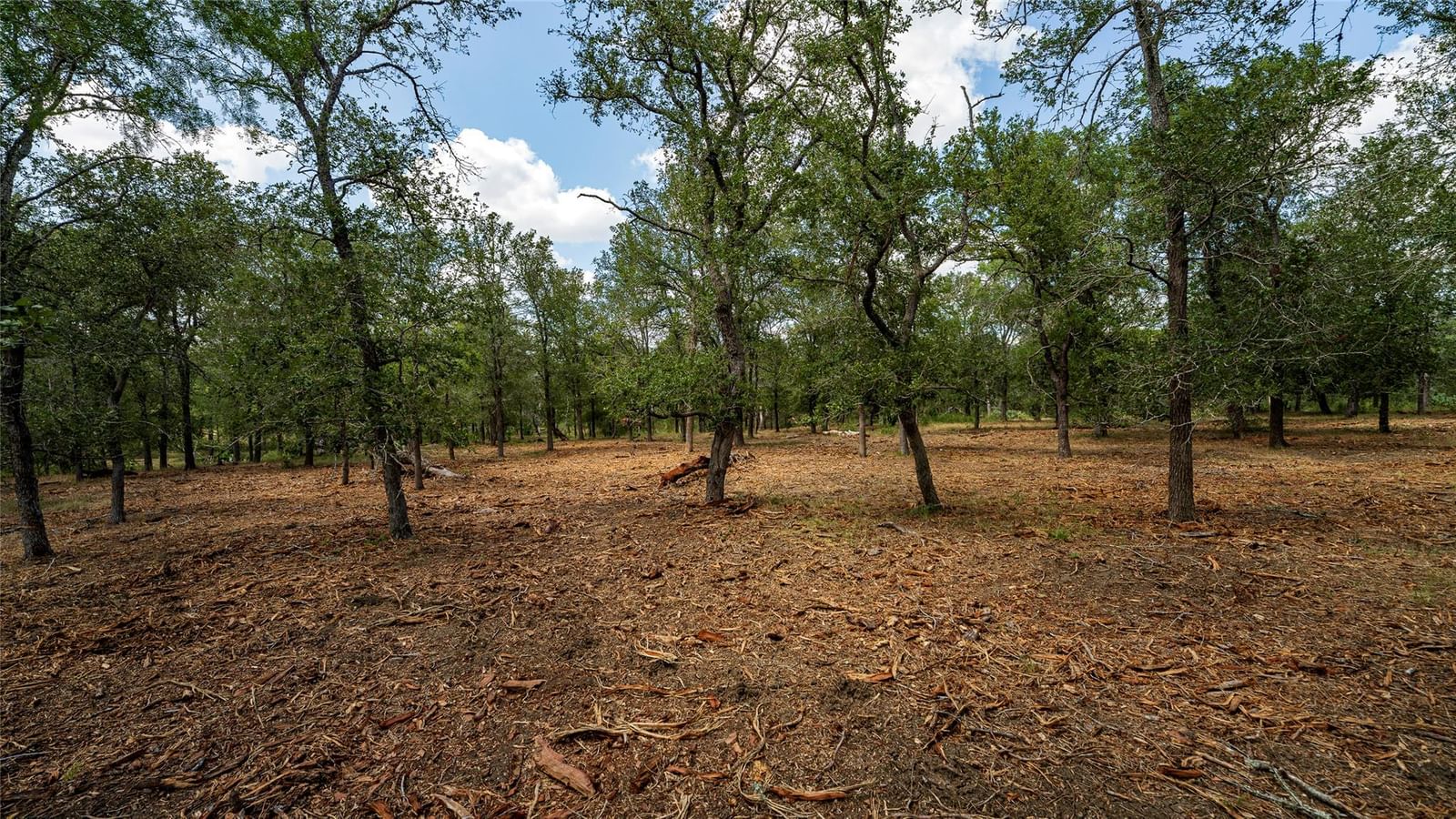 3980 (Tract 5) Fm 3158 - Photo 1