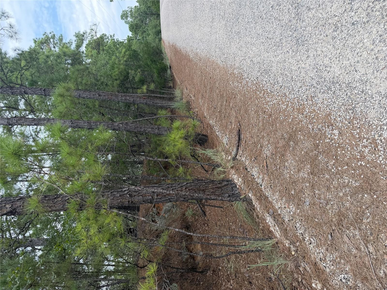 Lot 214 Hekili DR - Photo 1