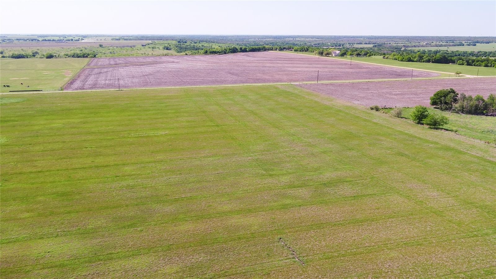 TBD-1 County Road 418 - Photo 1