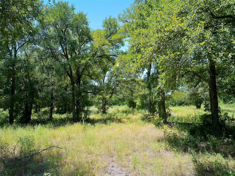 Property photo 18
