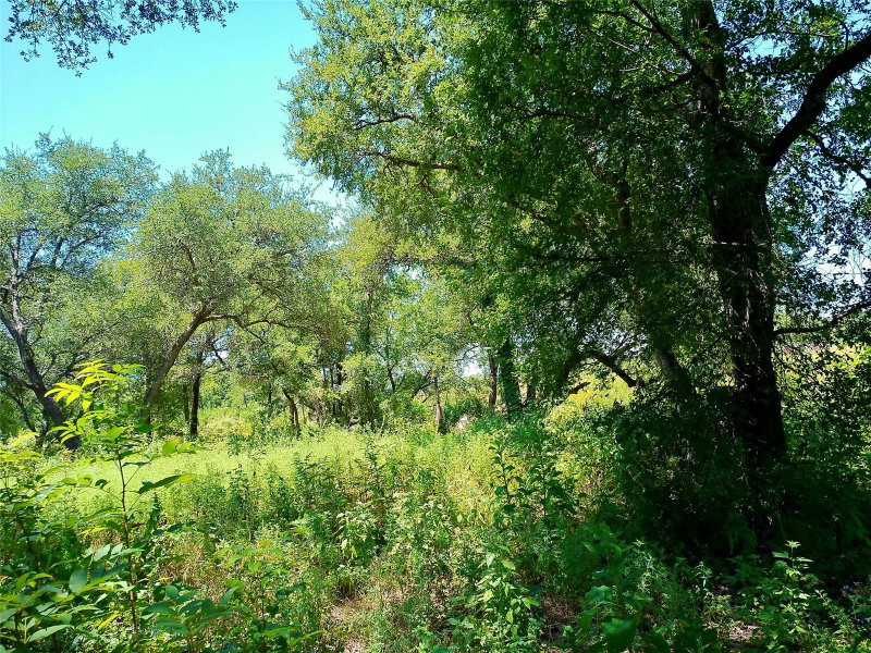 Property photo 22