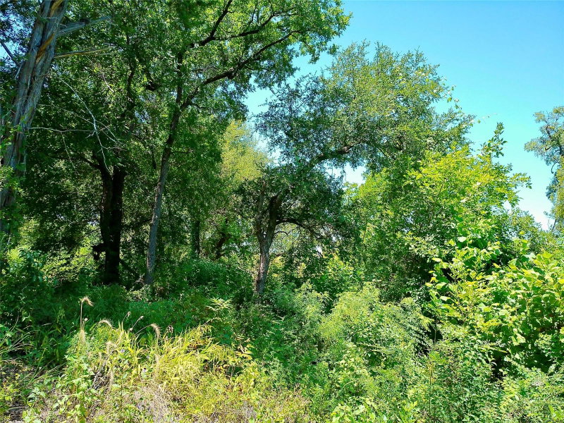 Property photo 30