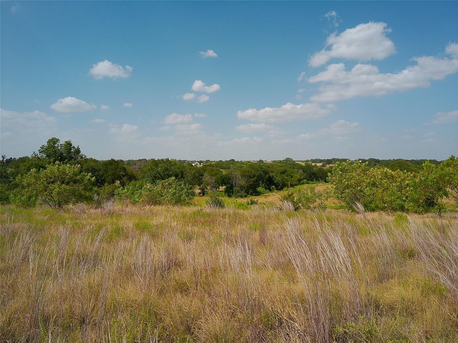 lot 55 Serenity Springs DR - Photo 1
