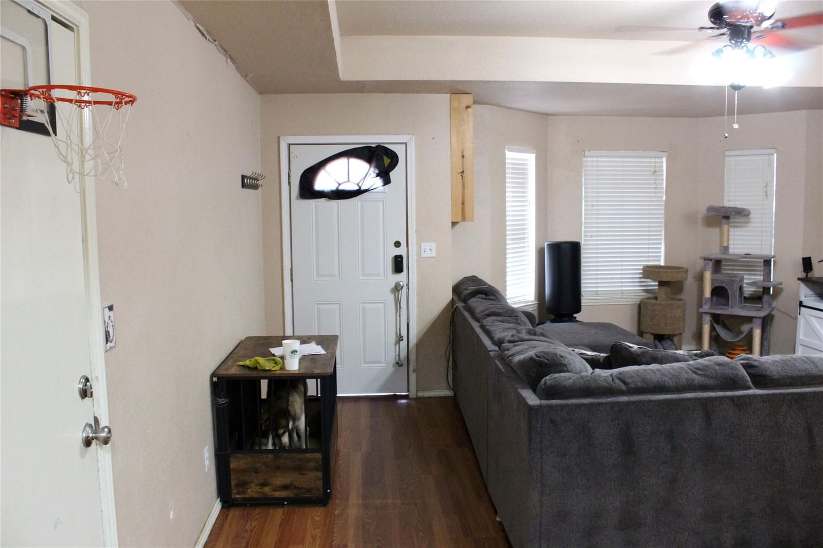 Photo 5