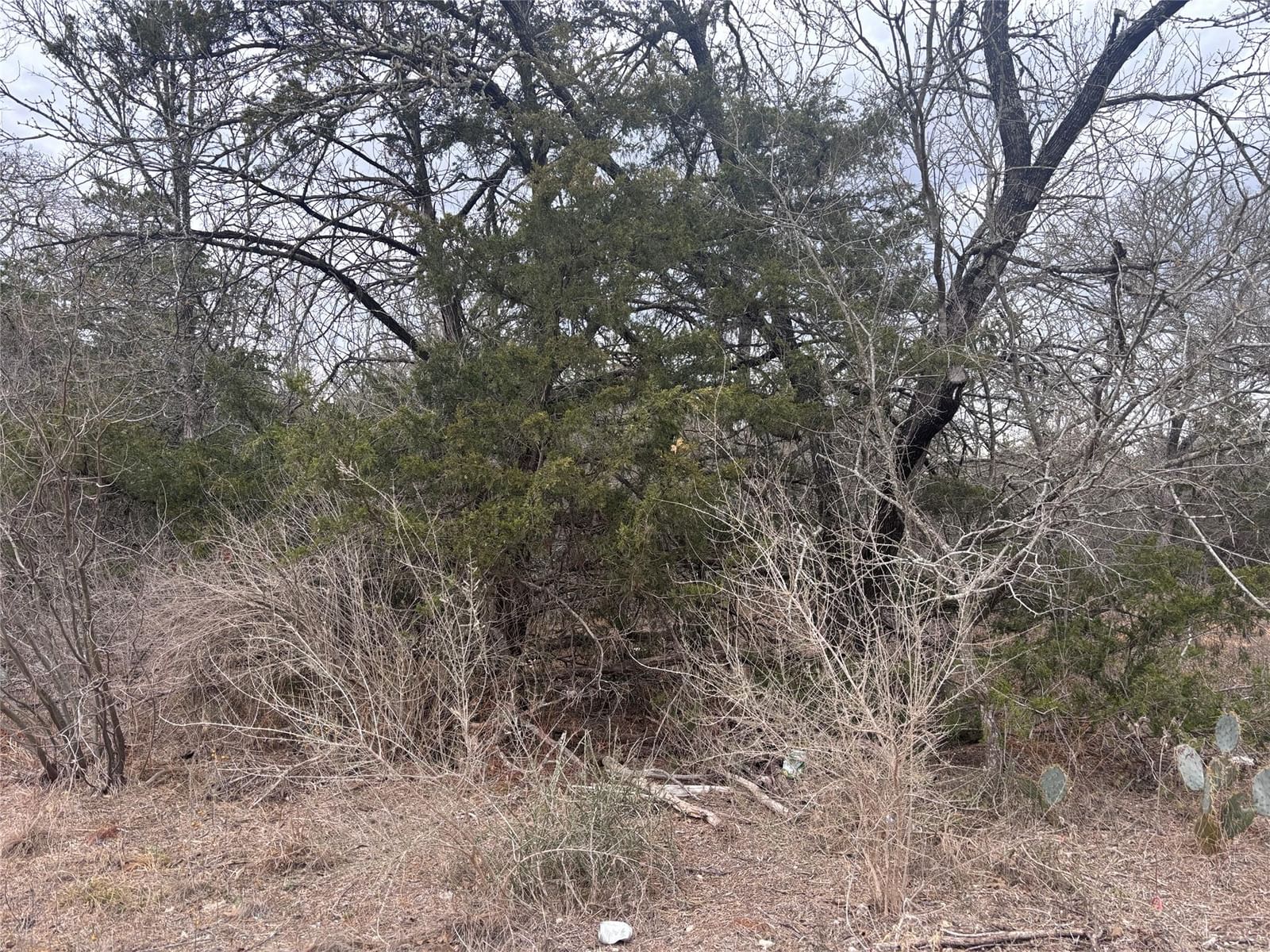 TBD Pearson RD - Photo 1