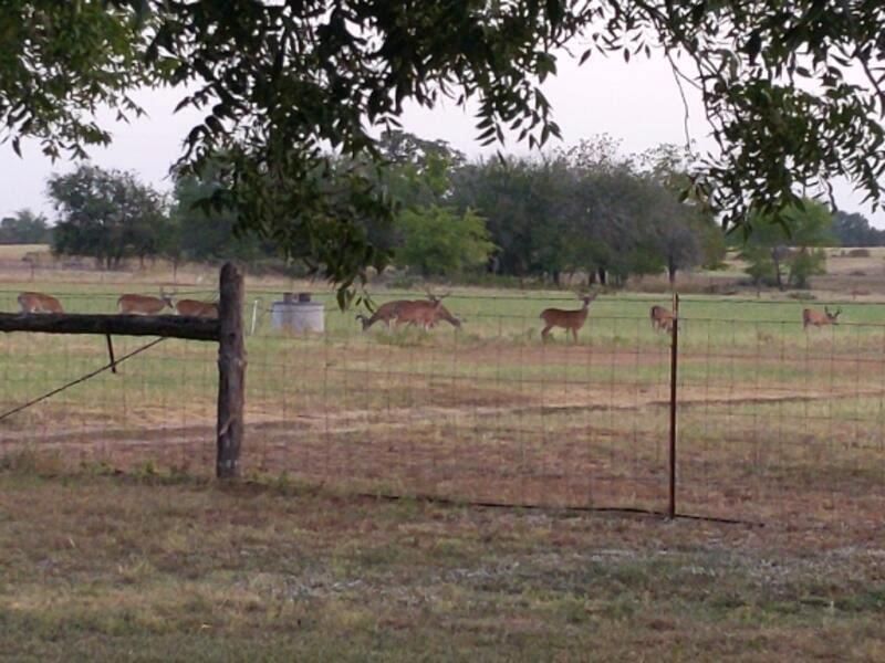 10905 S. FM 191 FM 1915 Highway - Photo 1
