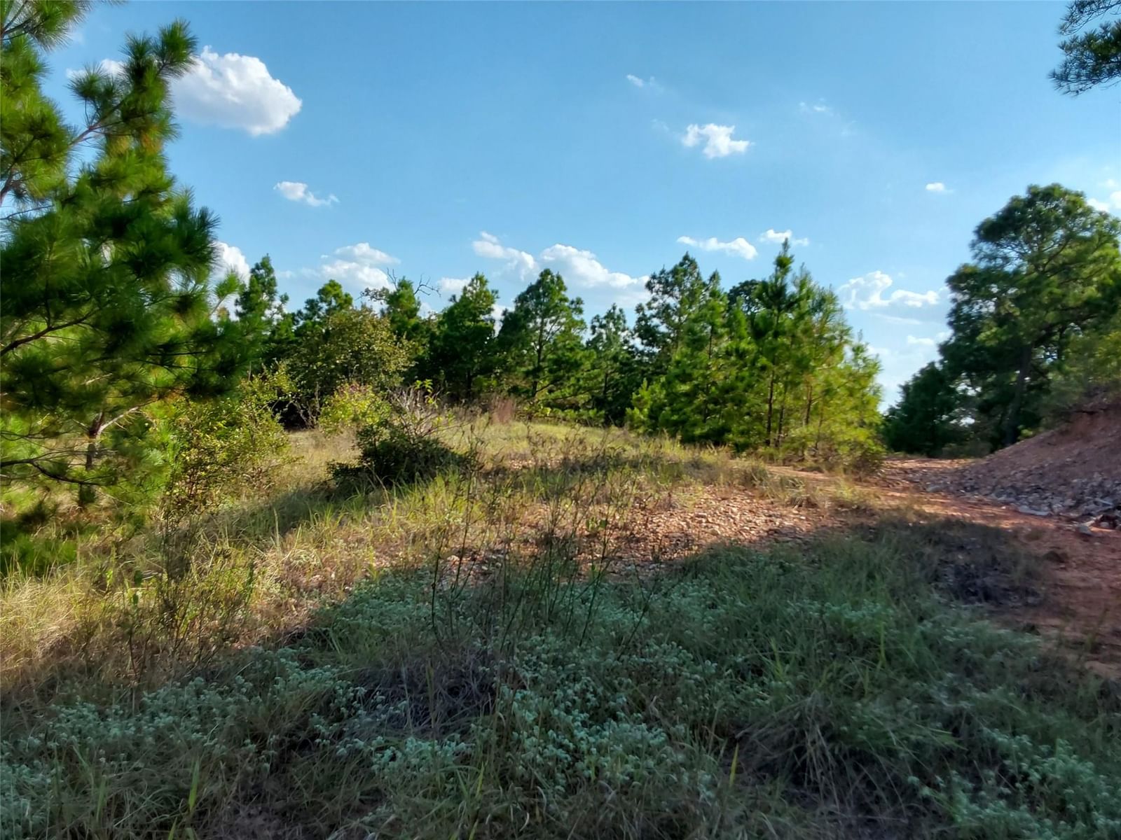 909 Hana Court ST - Photo 1