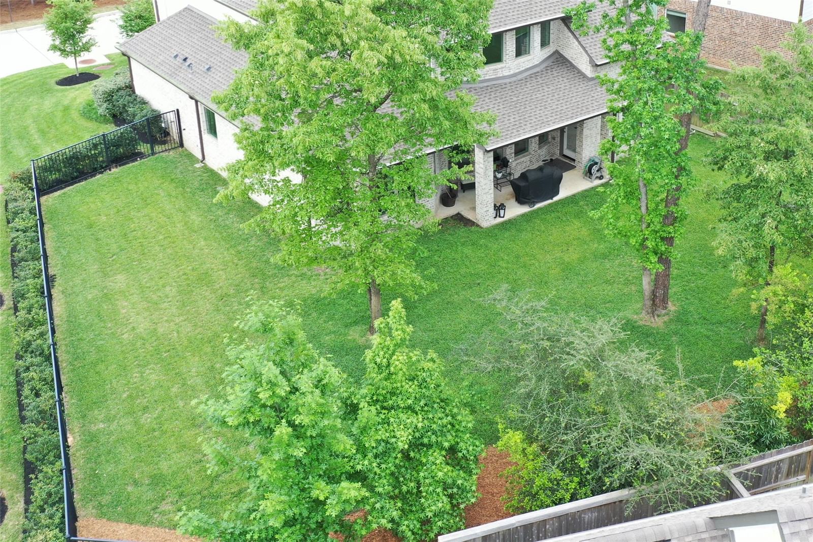 Photo 4