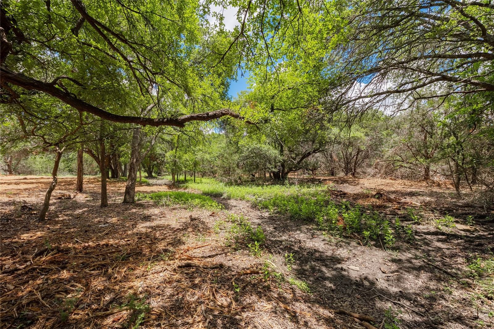 250 Ridgewood RD - Photo 1