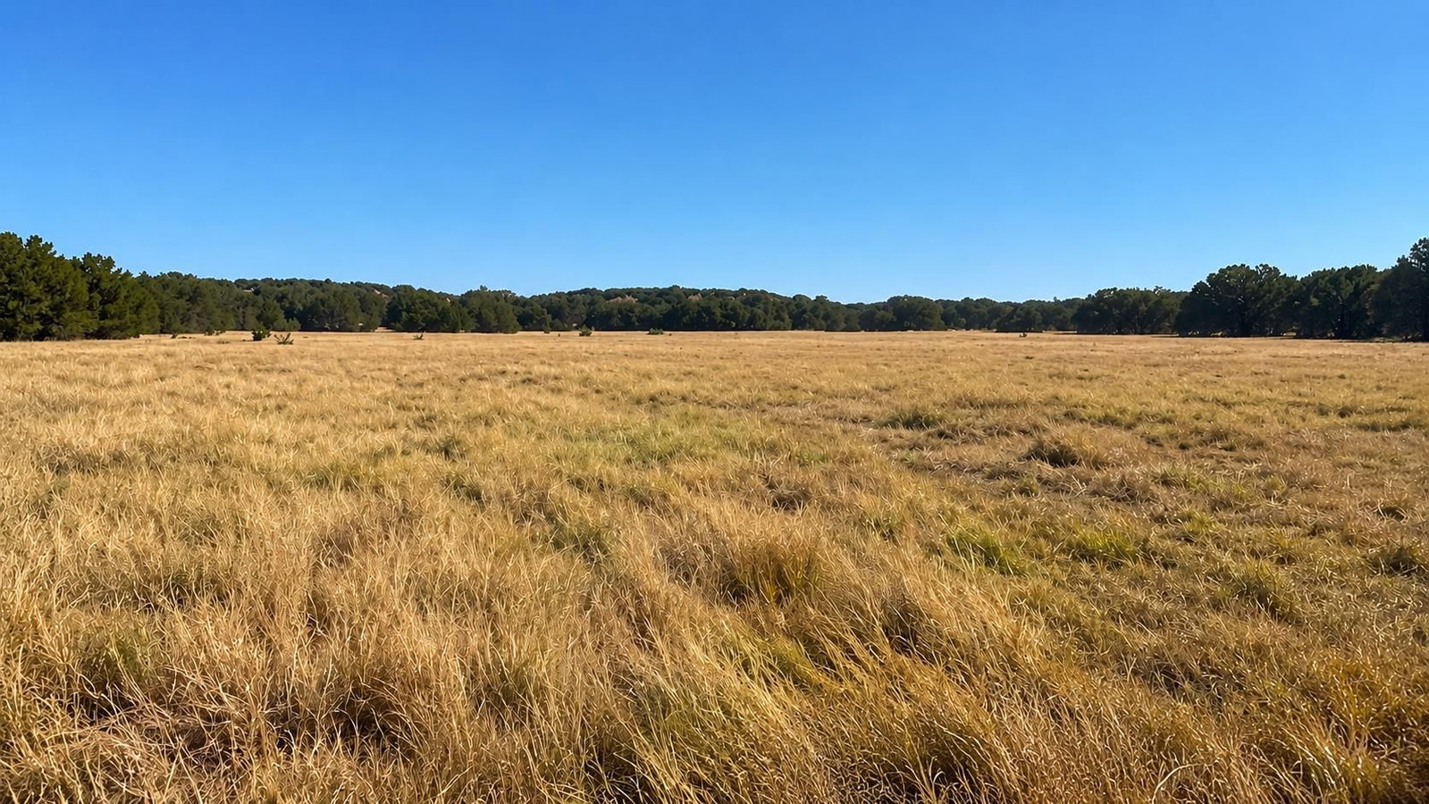 0 County Road 2659 - Photo 1