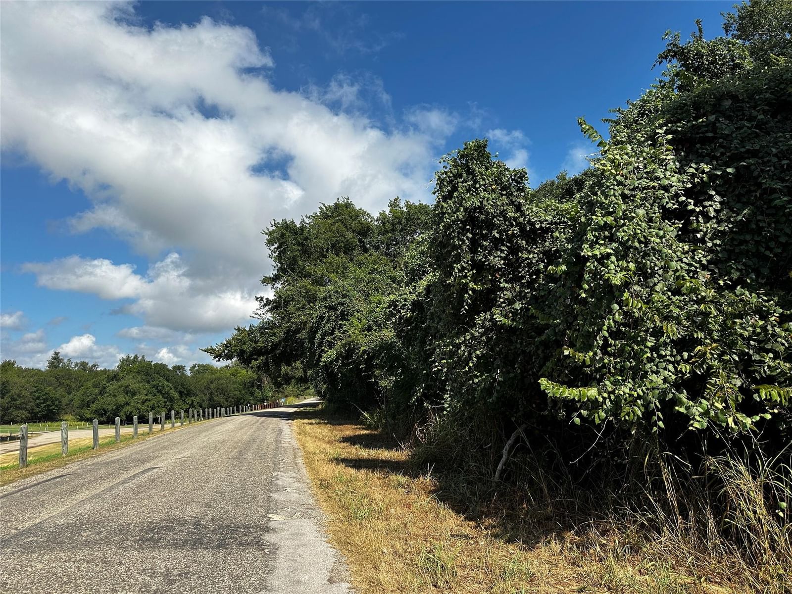 392 Riverside DR - Photo 1