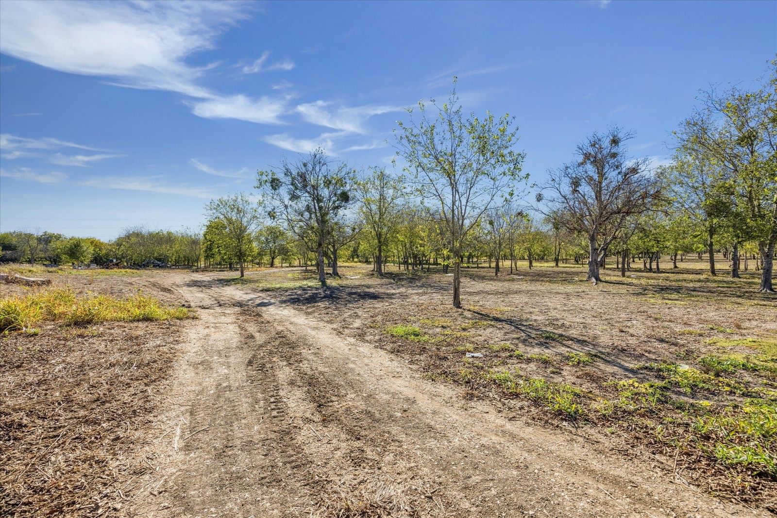 10719 San Jose Ave - Photo 1