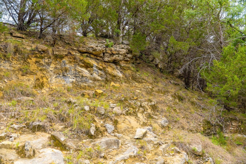 Property photo 37