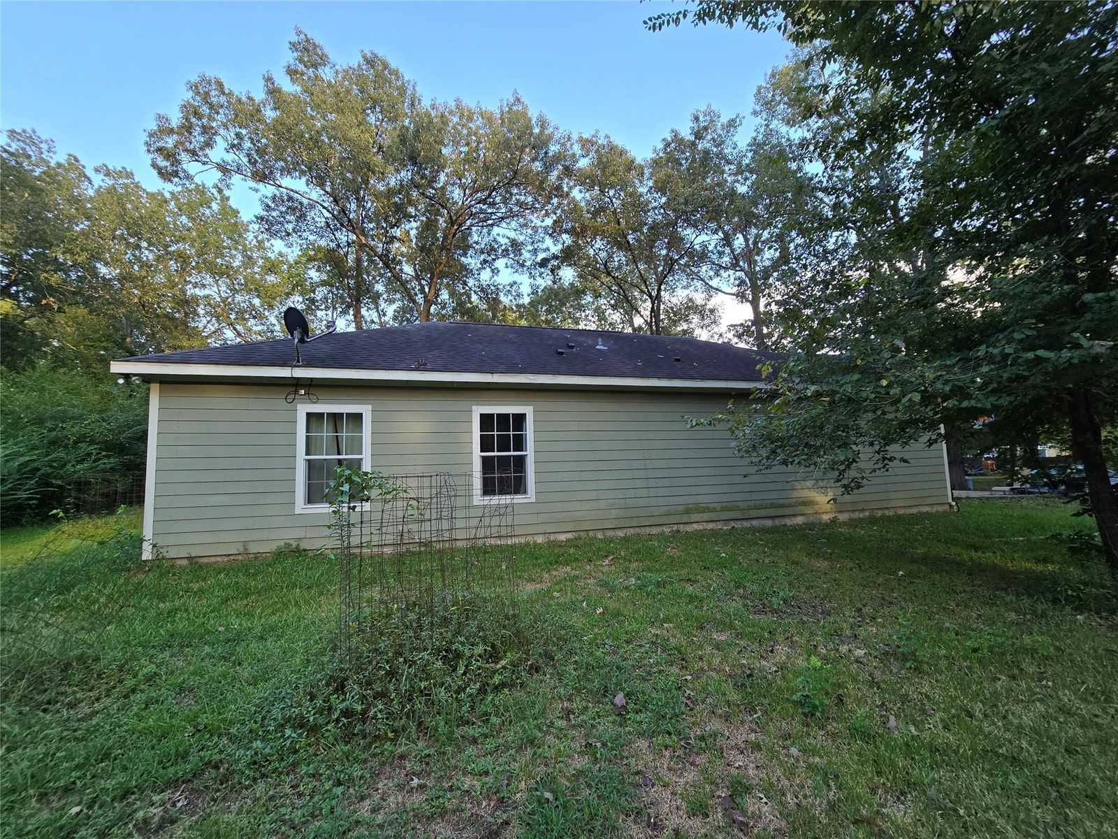 Photo 16