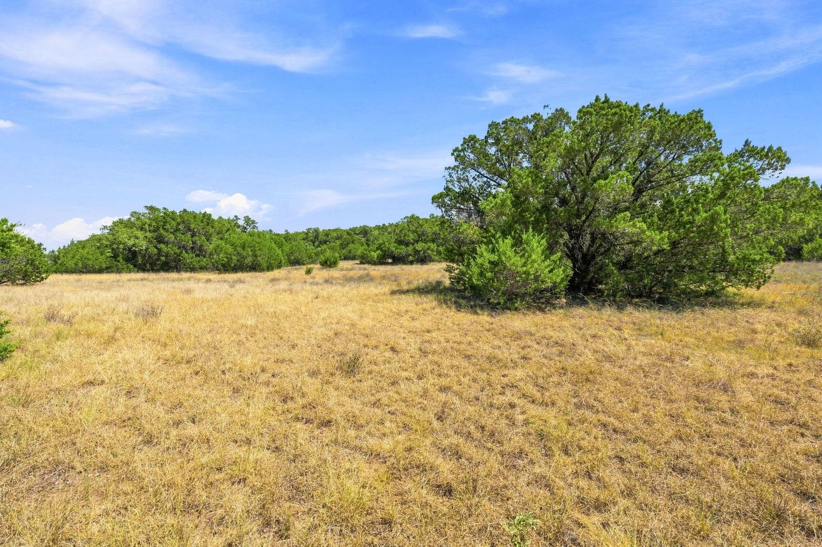 TBD Tract 1 & 2 Lipan RUN - Photo 1