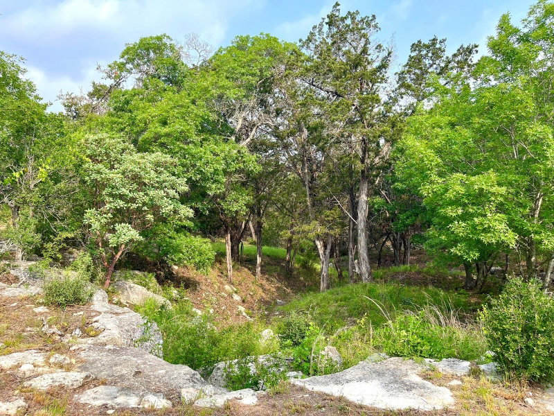 Property photo 20