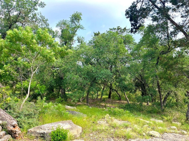 Property photo 25
