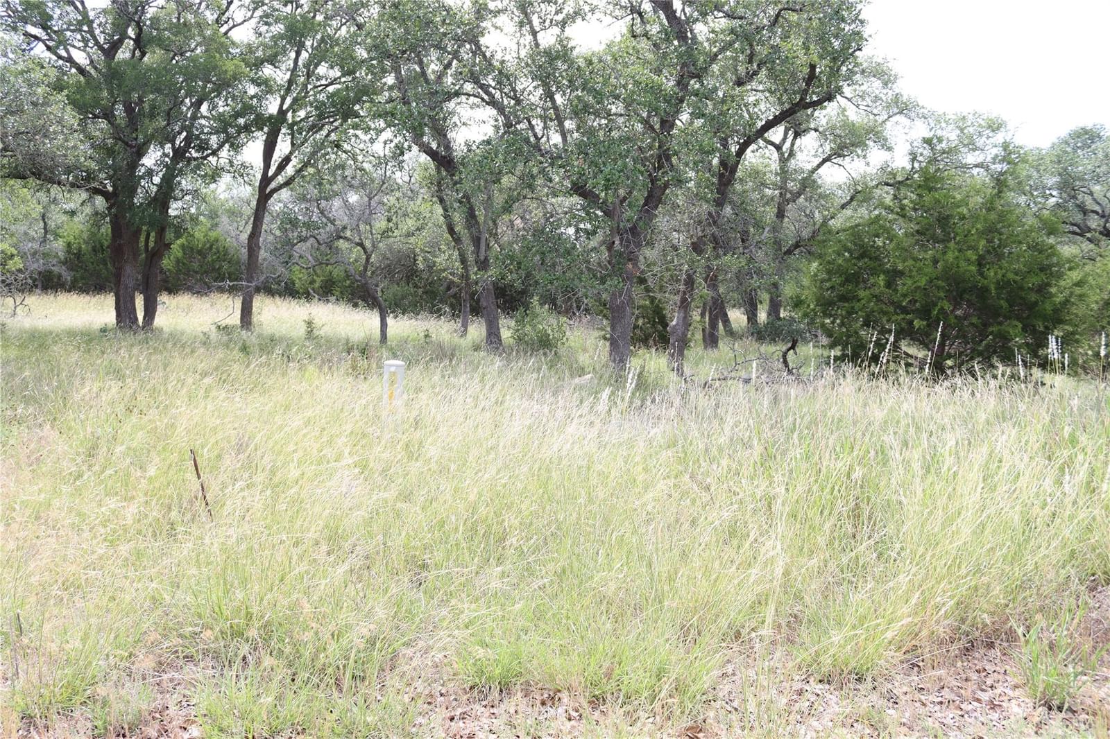105 Sabella - Photo 1