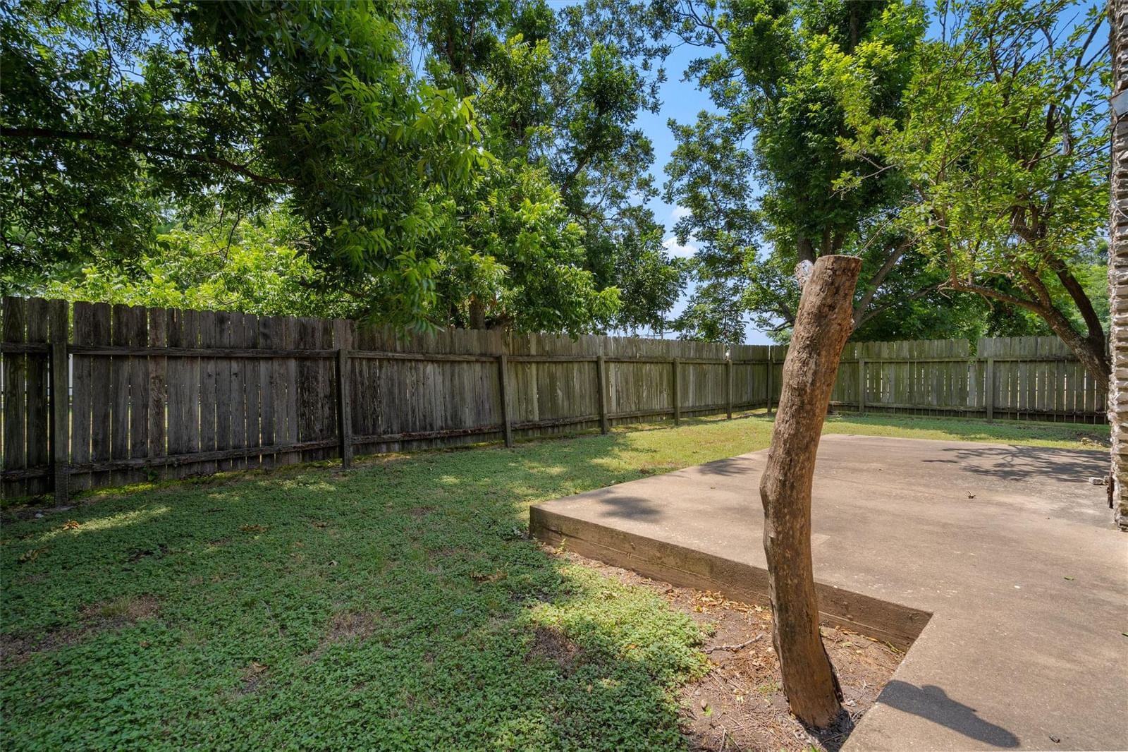 Photo 29