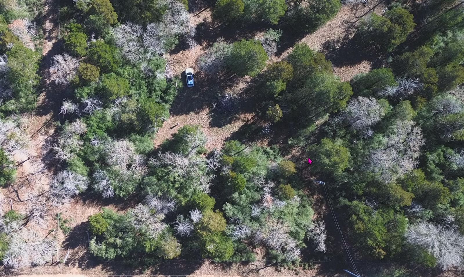 TBD Wilhelm WAY - Photo 1