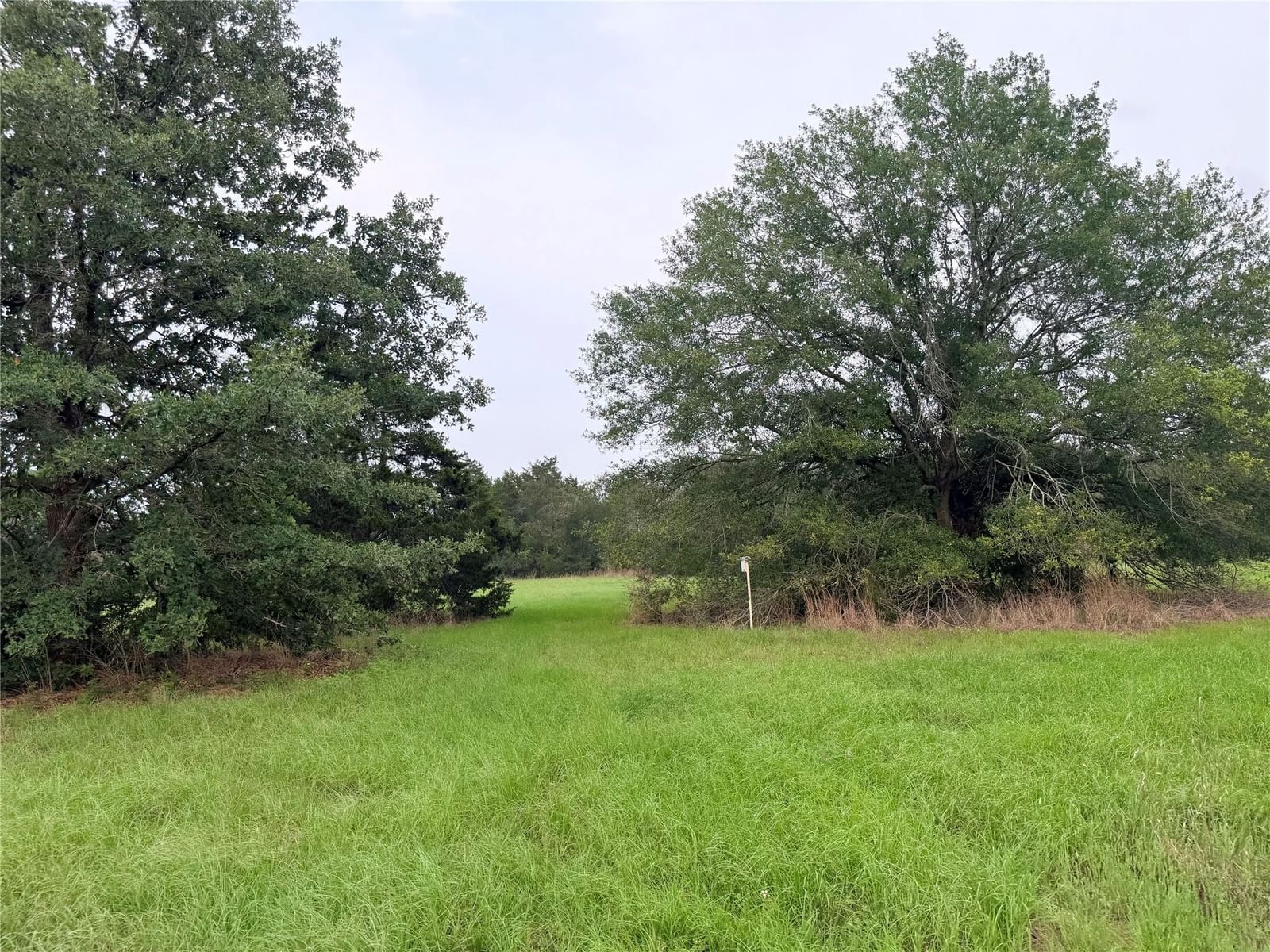 1766 Fm 2104 - Photo 1