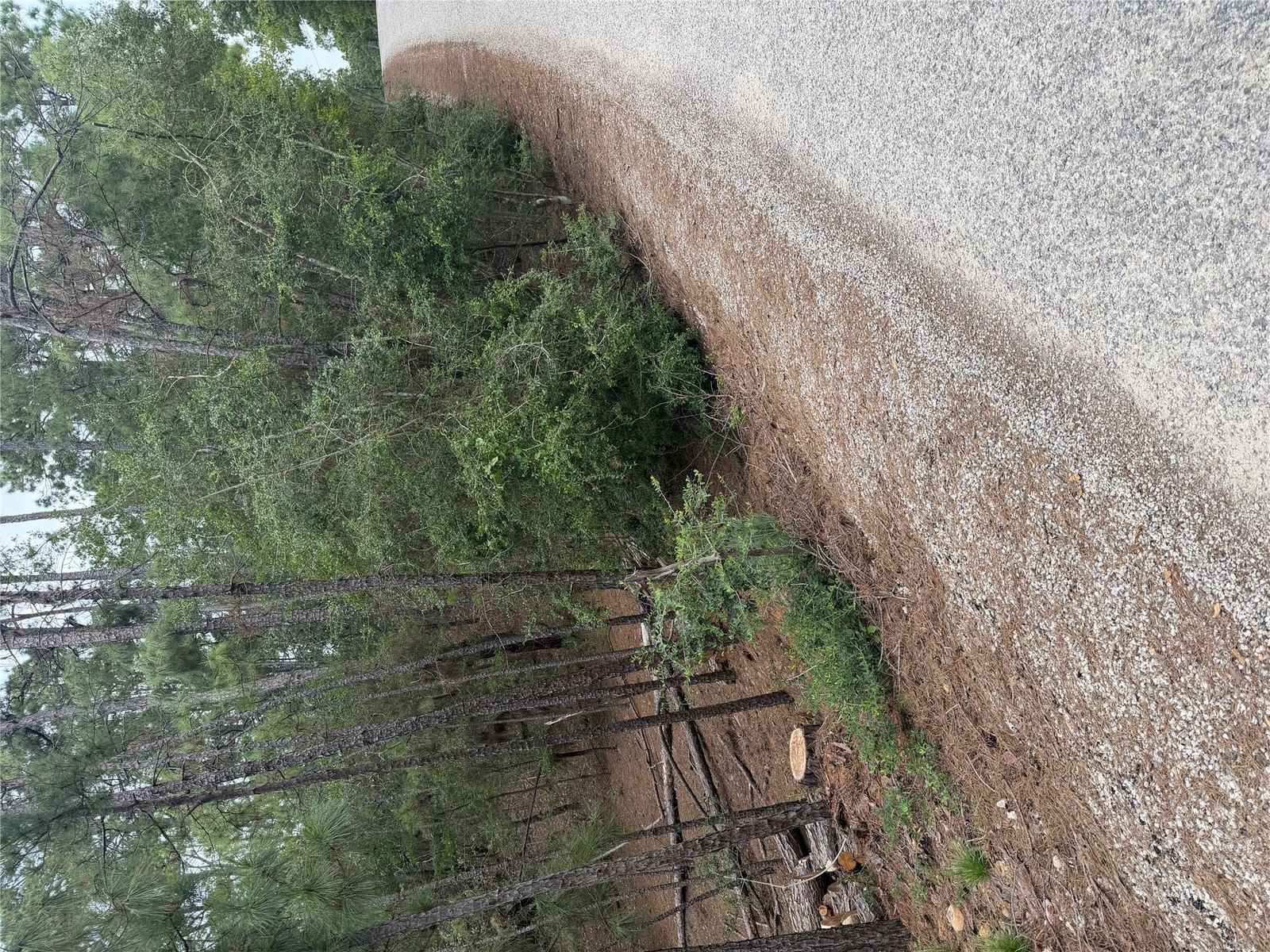 Lot 213 Hekili DR - Photo 1
