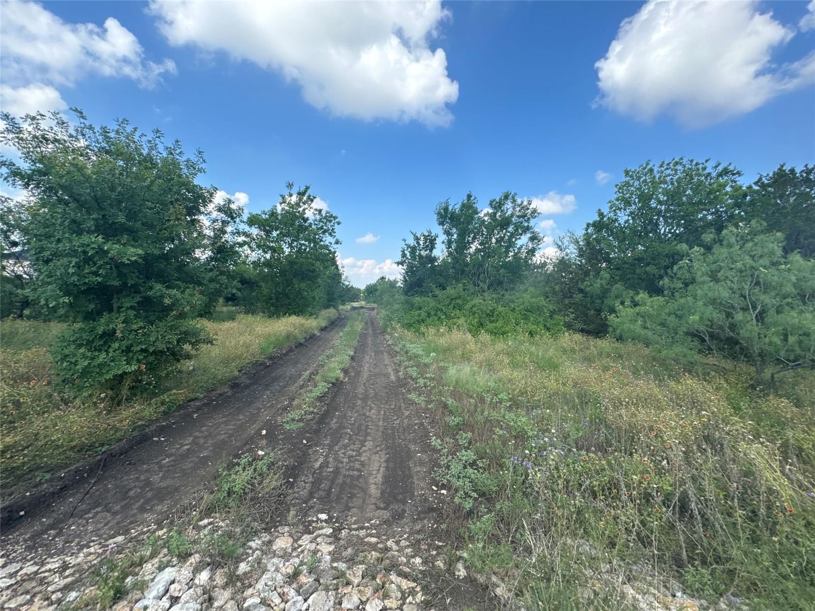 3000 Sunrise RD - Photo 1