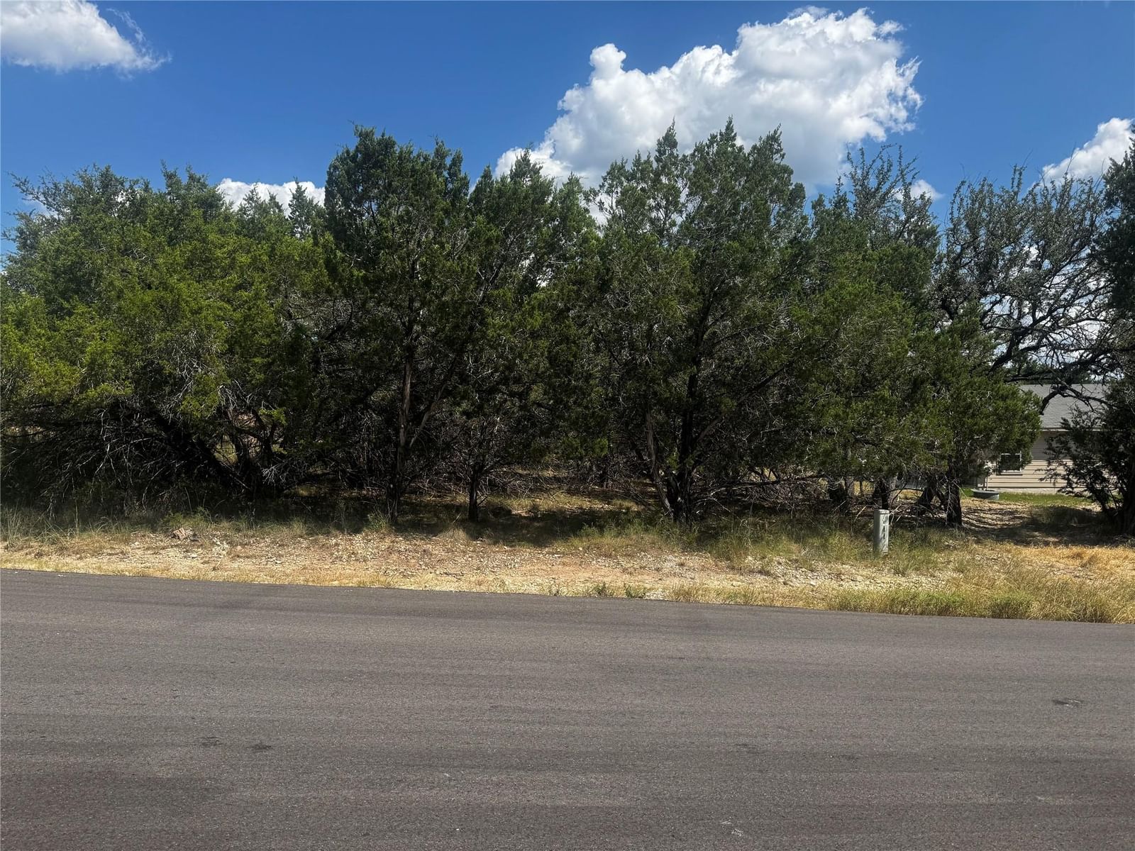20702 Harrison CV - Photo 1