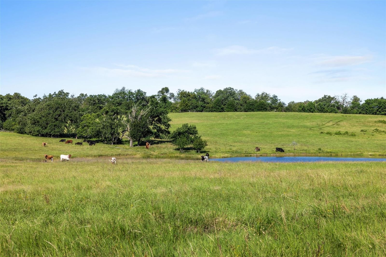 TBD FM RD 2027 - Photo 1