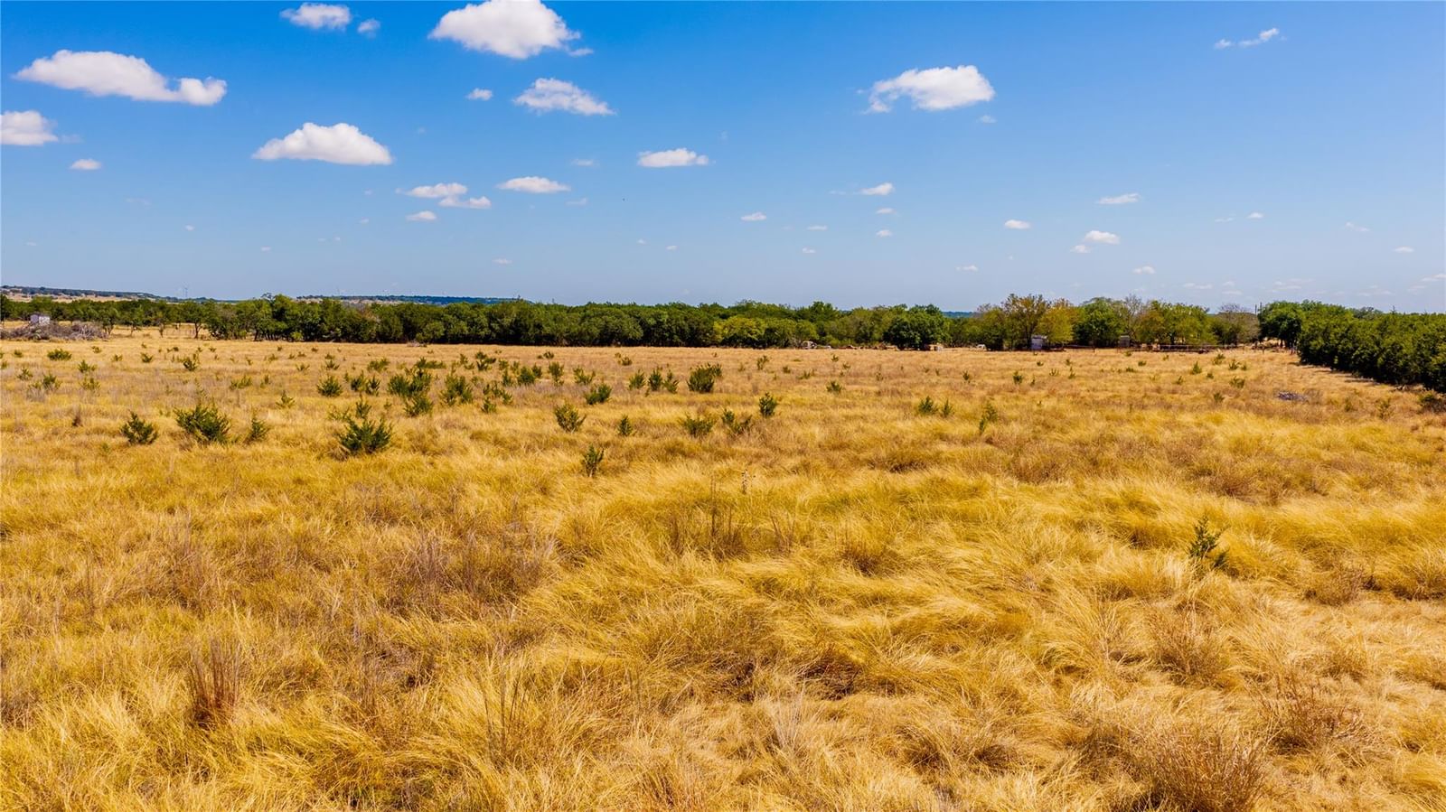 00 County Road 2644 - Photo 1