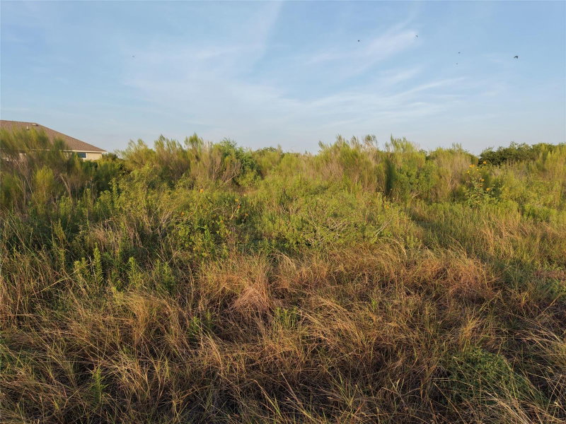 Property photo 36