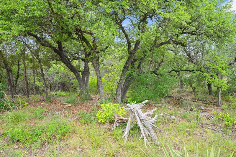 Property photo 25