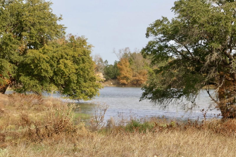 Property photo 22