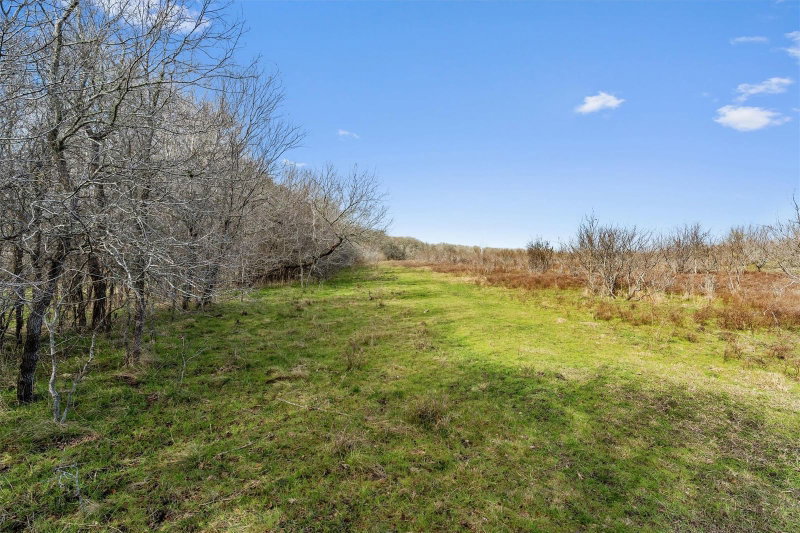 Property photo 22