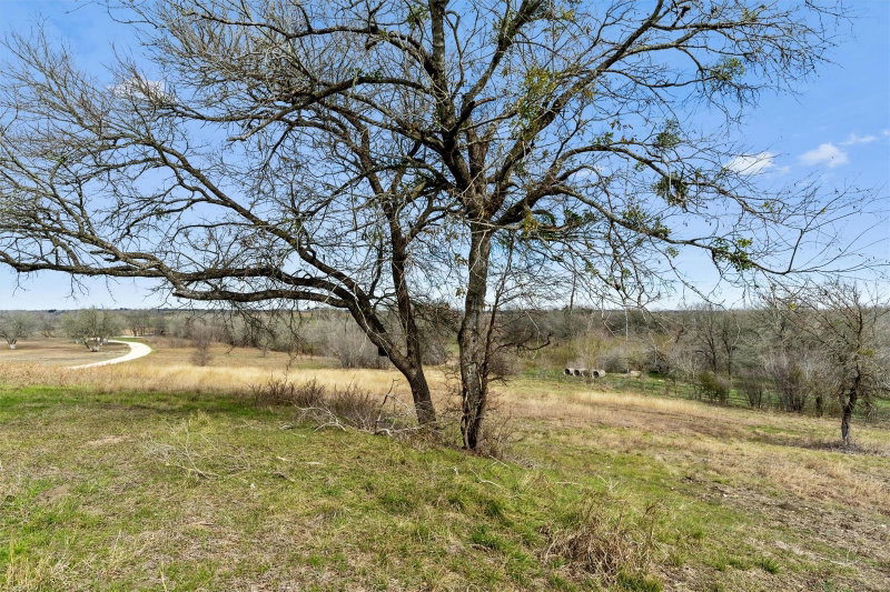 Property photo 36