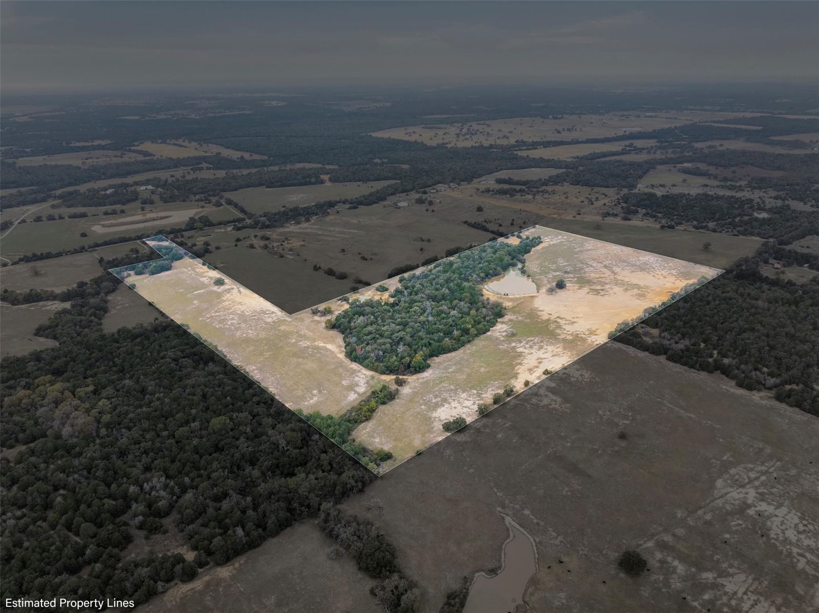 Photo 39